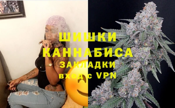 PSILOCYBIN Карталы
