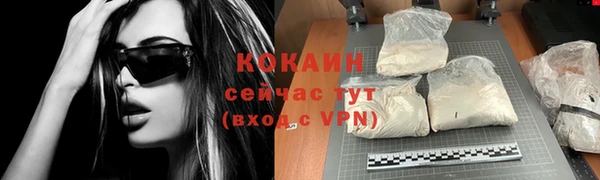 PSILOCYBIN Карталы