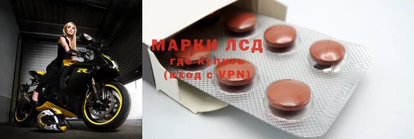 PSILOCYBIN Карталы