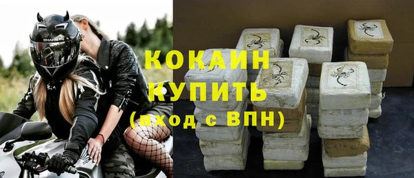 PSILOCYBIN Карталы
