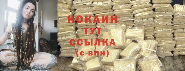 ПСИЛОЦИБИНОВЫЕ ГРИБЫ Касимов