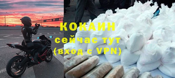 PSILOCYBIN Карталы